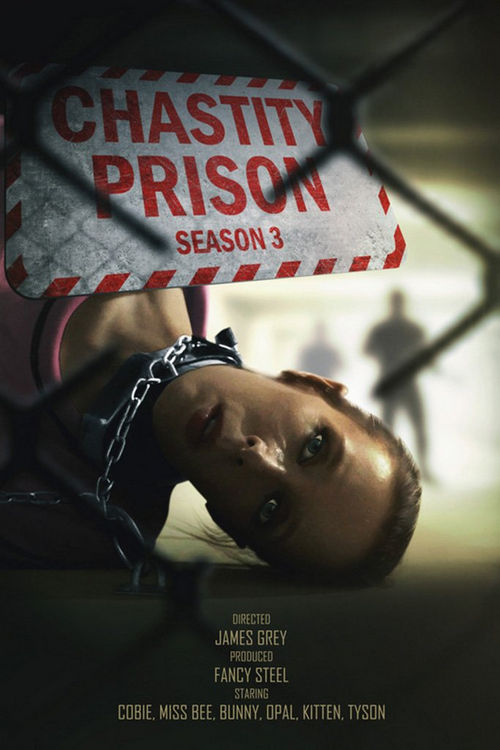 Fancysteel: Chastity Prison - Season 3: [FullHD 1080p | 2.35 GB]