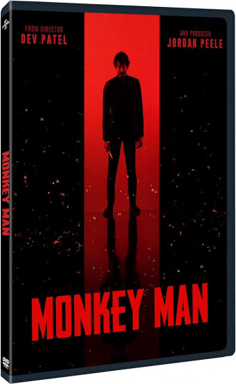 Monkey Man 2024 German AC3 480p WEBRip x265 - LDO