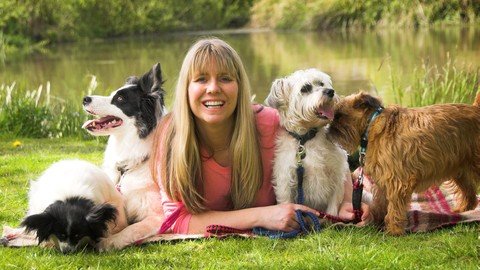 Pet Training – Stop Dog Barking – Easy Dog Training Methods