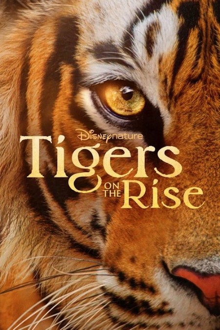 Tigers on The Rise (2024) 1080p DSNP WEB-DL DDP5 1 H264-BATWEB
