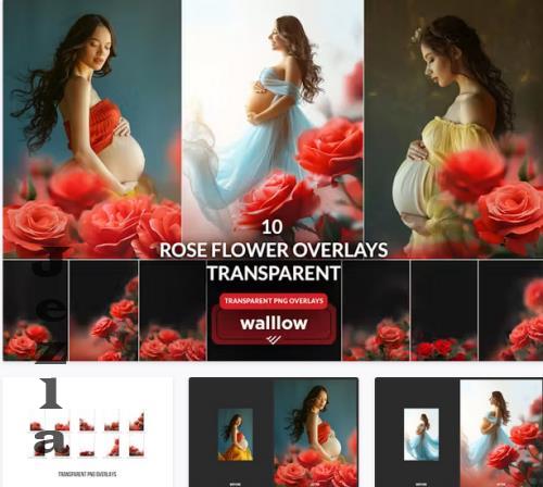 Rose flower transparent PNG Photoshop overlays - UQKTUVF