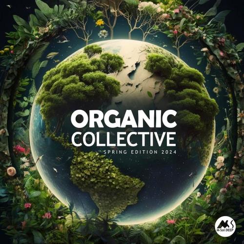 VA - Organic Collective - M-Sol DEEP Spring Edition 2024 (2024) (MP3)
