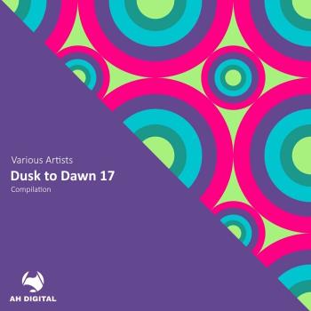 VA - Dusk to Dawn 17 (2024) MP3