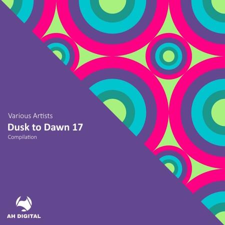 VA | Dusk to Dawn 17 (2024) MP3
