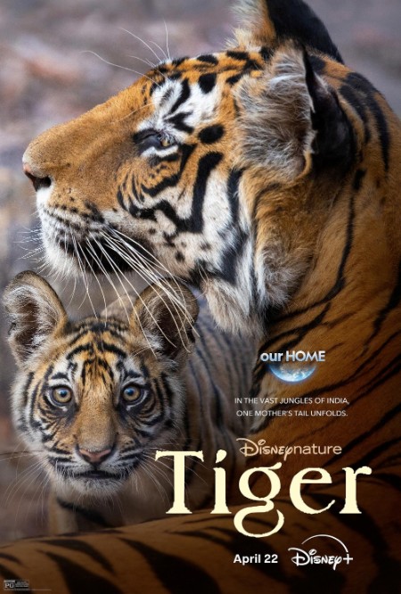 Tiger (2024) 2160p 4K WEB 5.1 YTS
