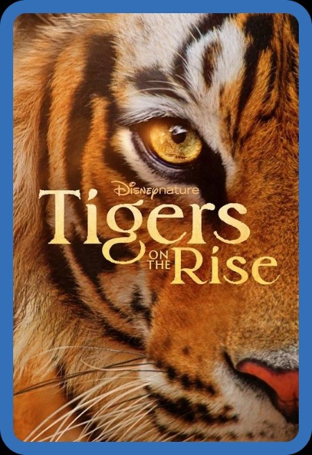 Tigers on The Rise (2024) 720p DSNP WEBRip x264-GalaxyRG