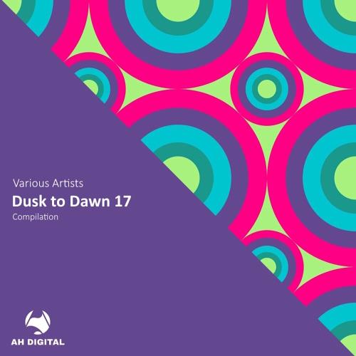 VA - Dusk to Dawn 17 (2024) (MP3)