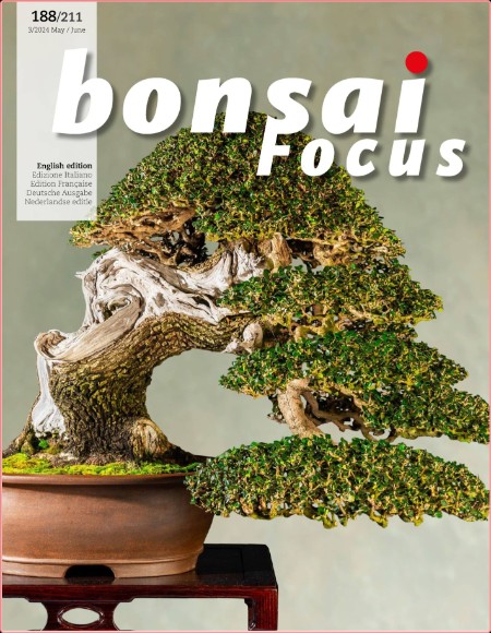 Bonsai Focus - May-June 2024