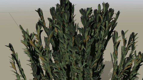 Speedtree Foliage Guide Creating 3Dgrass And Bushes For Ue5