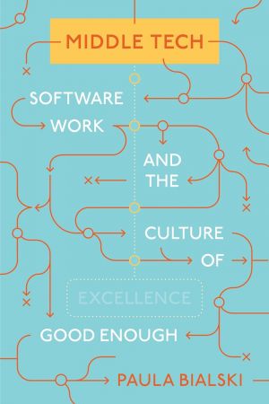Middle Tech: Software Work and the Culture of Good Enough