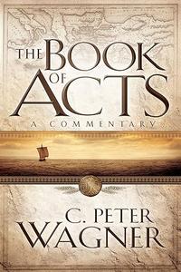 The Book of Acts A Commentary