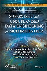 Supervised and Unsupervised Data Engineering for Multimedia Data (EPUB)