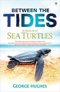 Between the Tides In Search of Sea Turtles