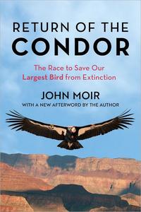 Return of the Condor The Race to Save Our Largest Bird from Extinction
