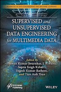 Supervised and Unsupervised Data Engineering for Multimedia Data (PDF)