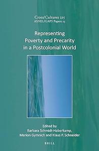 Representing Poverty and Precarity in a Postcolonial World