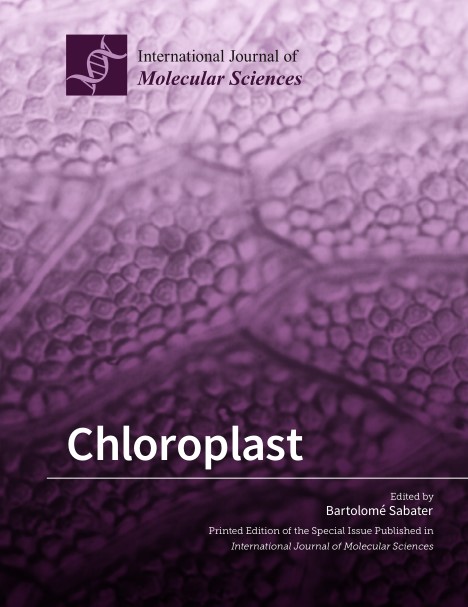 Chloroplast (2024)