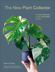 The New Plant Collector The Next Adventure in Your House Plant Journey
