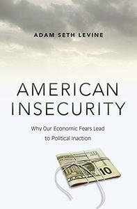 American insecurity  why our economic fears lead to political inaction