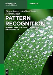 Pattern Recognition Introduction, Features, Classifiers and Principles