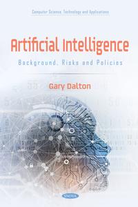 Artificial Intelligence Background, Risks and Policies