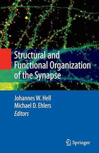 Structural and Functional Organization of the Synapse (2024)