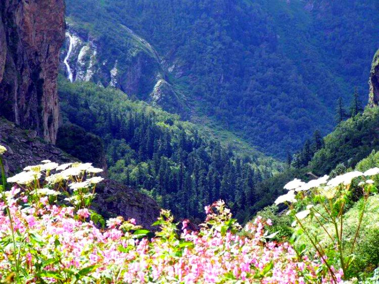 Valley of Flowers National Park-Himalaji 3807916d7c83c4db6a0e37ad2d87fc49