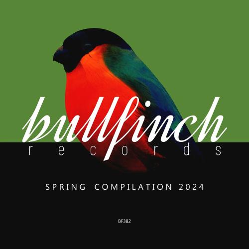 VA - Bullfinch Spring 2024 Compilation (2024) (MP3)