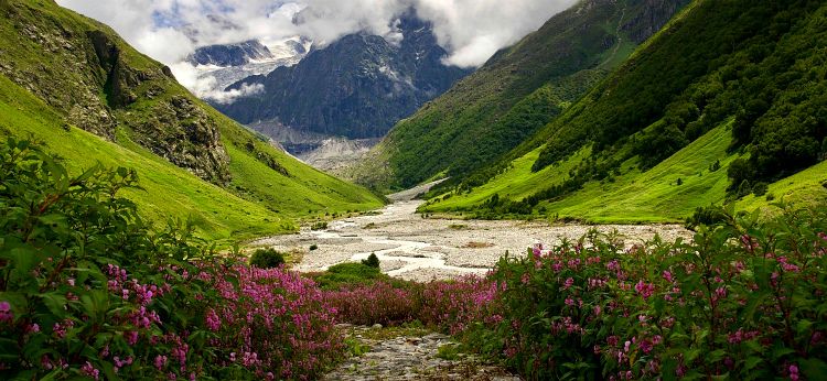 Valley of Flowers National Park-Himalaji Bd840f7cc6c4b20c71c545f66d49198e