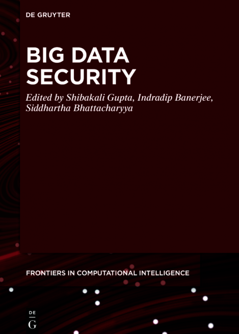 5d12f521b0555514ebf2bb222de77acb - Shibakali Gupta - Big Data Security
