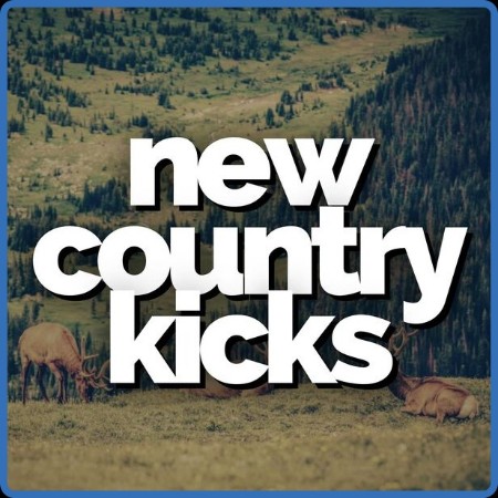 VA - New Country Kicks 2024