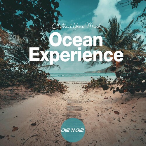 Ocean Experience Chillout Your Mind (2024) FLAC