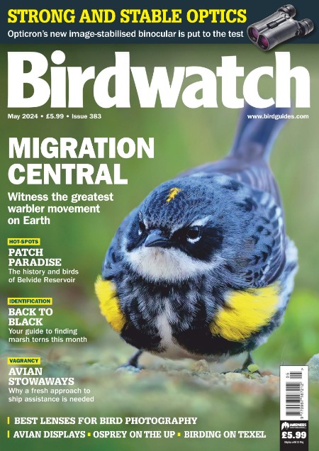 Birdwatch UK - May (2024)
