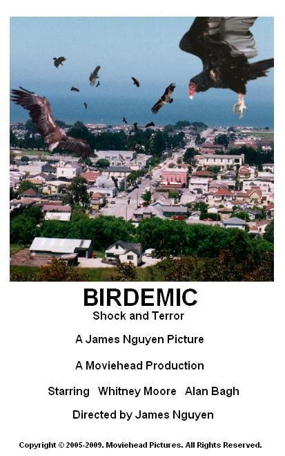 Birdemic - Shock and Terror (2010) RiffTrax Live 720p 10bit WEBRip x265-Budgetbits
