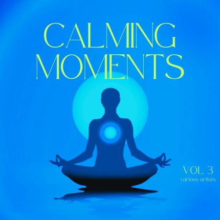 VA | Calming Moments, Vol. 3 (2024) MP3