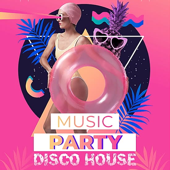 Disco House - Party Different Hits