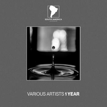 VA - 1 Year South America Avenue (2024) MP3