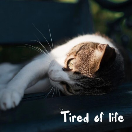 VA - Tired Of Life (2024)