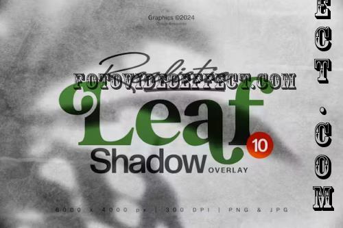 Realistic Leaf Shadow Overlay - 2KQGKHH