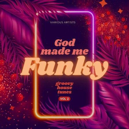 VA - God Made Me Funky (Groovy House Tunes), Vol. (2) ((((2024))))