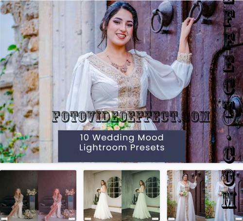 10 Wedding Mood Lightroom Presets - LTD6569