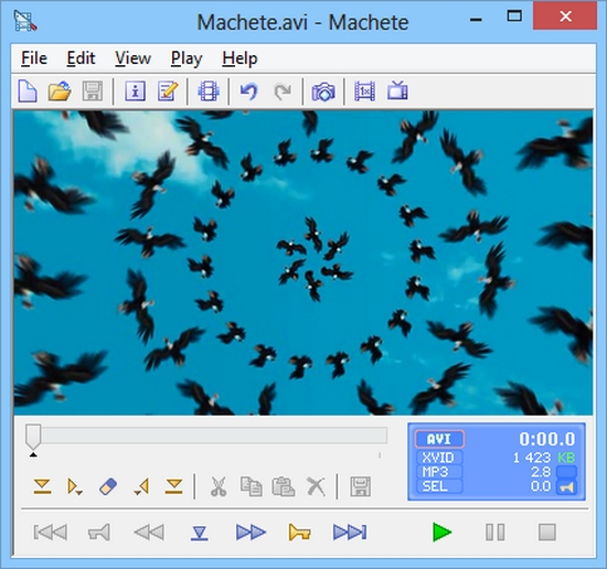 MacheteSoft Machete 5.1 Build 44