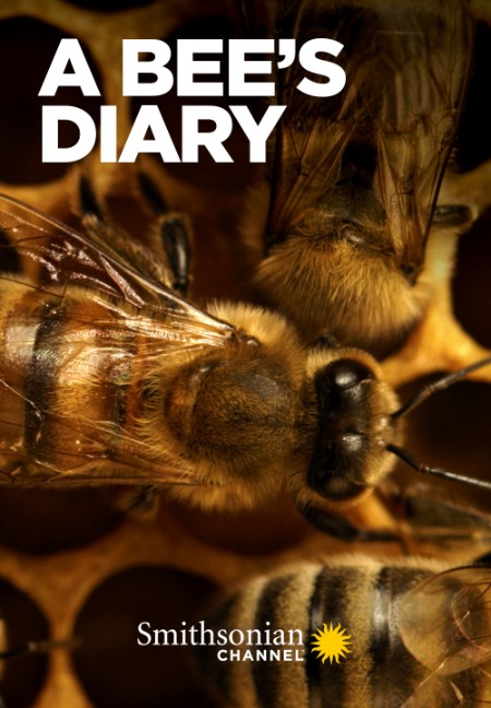A Bees Diary (2022) 1080p WEBRip x264 AAC-YTS