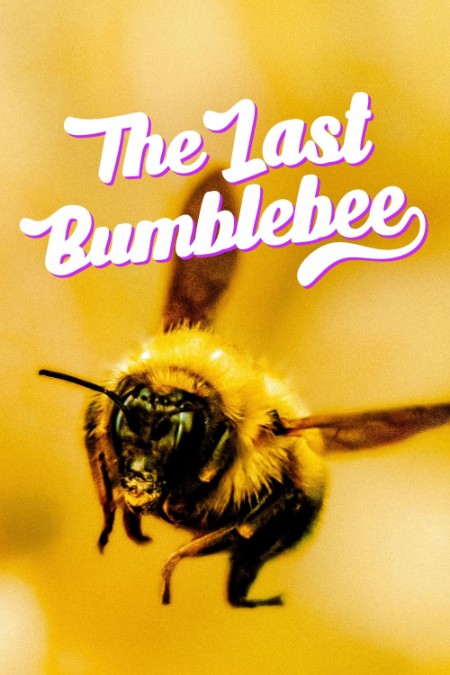 The Last Bumblebee (2024) 720p WEBRip-LAMA