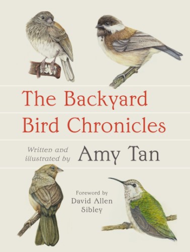 The Backyard Bird Chronicles by Amy Tan, David Allen Sibley (Foreword by) 99fabe76c76a469f1841ed31d83198bf