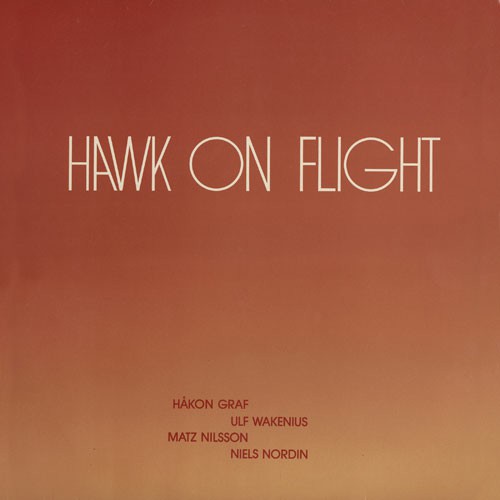 Hawk On Flight - Hawk On Flight (1980)