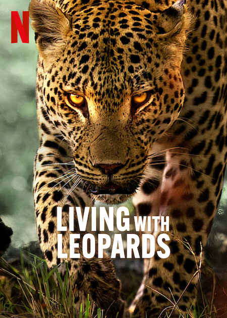 Living With Leopards (2024) NF 720p WEBRip x264-YIFY