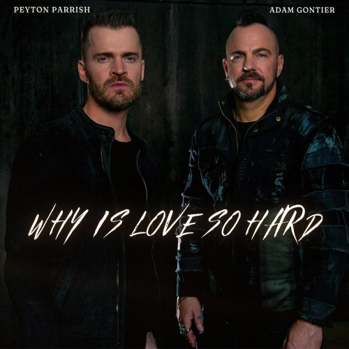 Peyton Parrish - Why Is Love So Hard (feat. Adam Gontier of Saint Asonia) (Single) (2024)