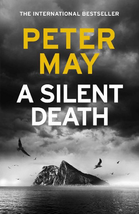 A Silent Death: The scorching new mystery thriller You won't put down - Peter May