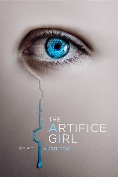The Artifice Girl Sie ist nicht real 2022 German AC3 WEBRip x265 - LDO